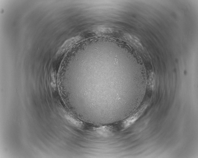 X0000060750430200511101120