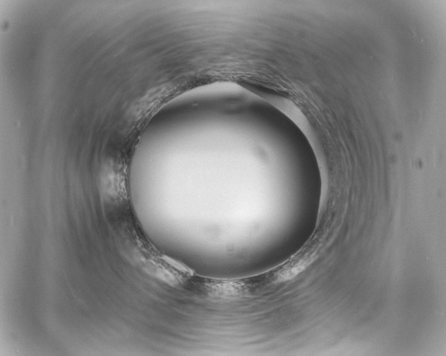 X0000060750432200511101120