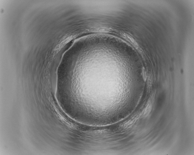 X0000060750433200511101119