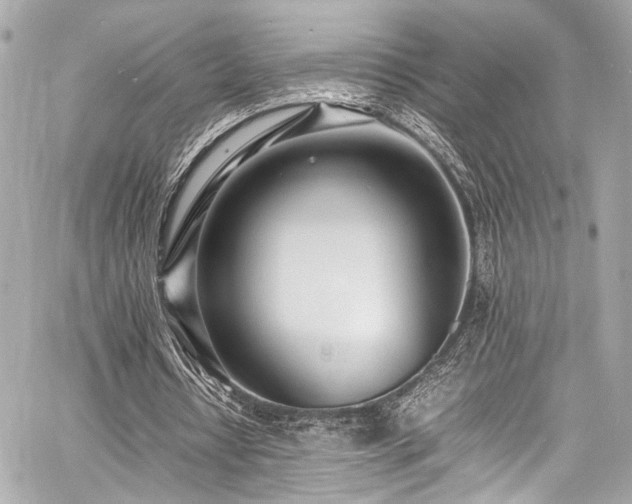 X0000060750434200511101120