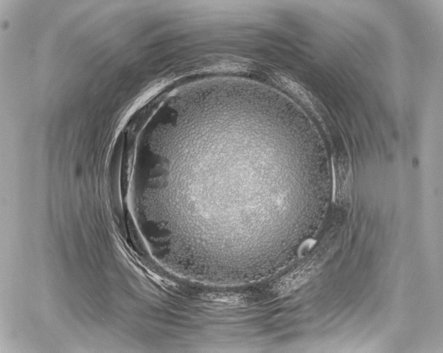 X0000060750435200511101120