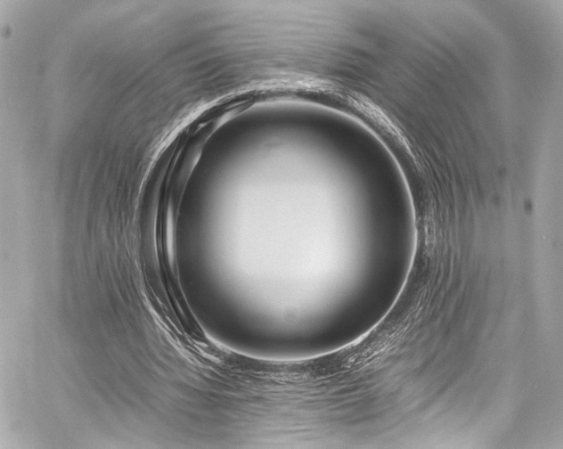 X0000060750436200511101120