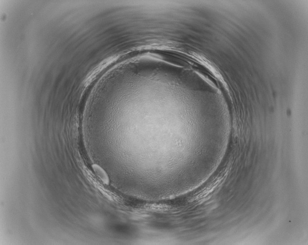 X0000060750437200511101120