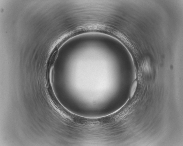 X0000060750438200511101120