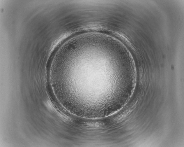 X0000060750439200511101120