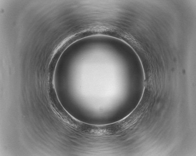 X0000060750440200511101120