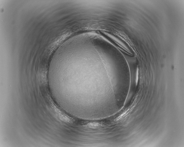 X0000060750441200511101120