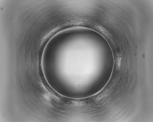 X0000060750442200511101120