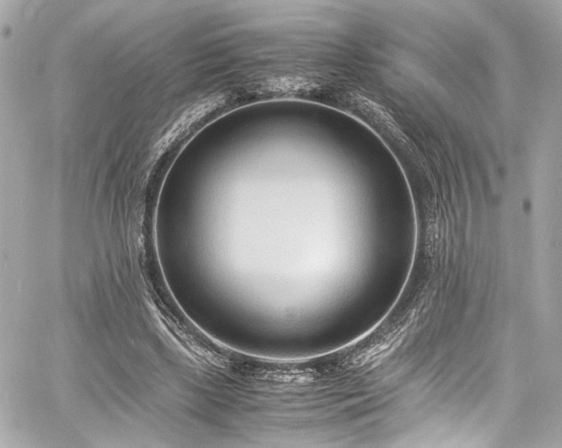 X0000060750443200511101120