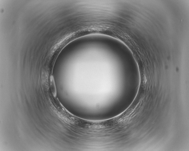 X0000060750444200511101120