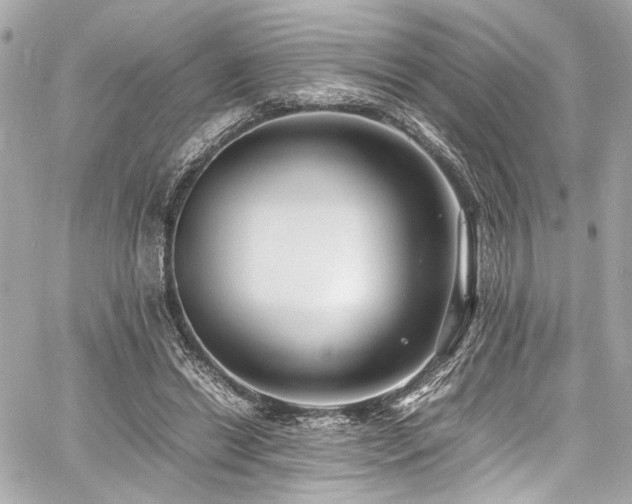 X0000060750446200511101120