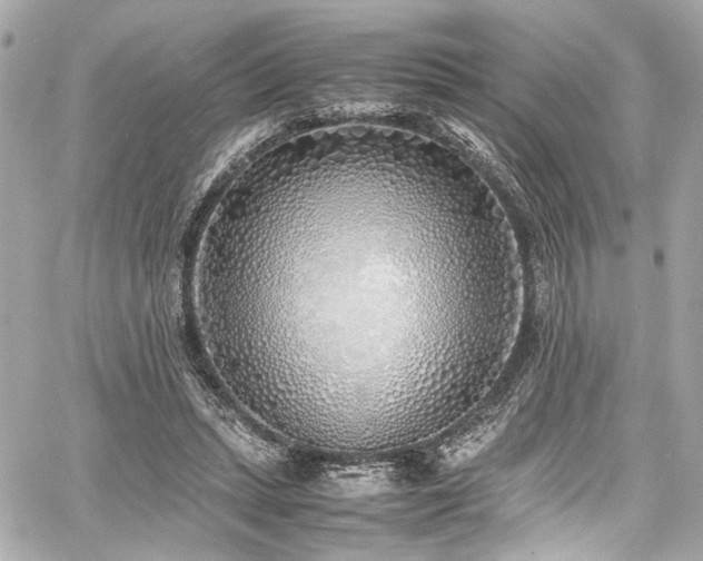 X0000060750447200511101120