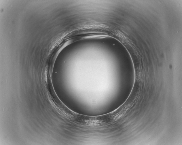 X0000060750448200511101120