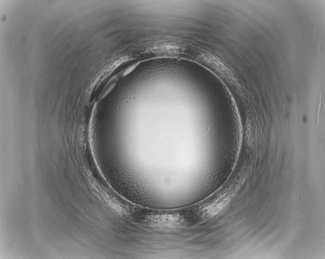 X0000060750449200511101120