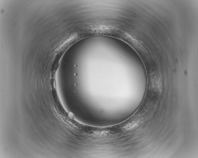 X0000060750450200511101120