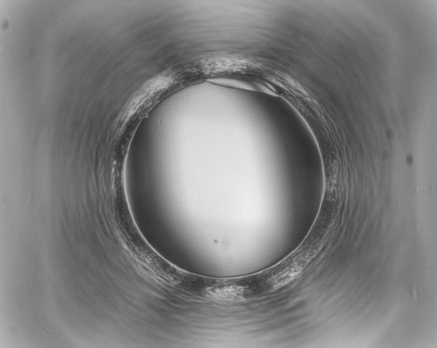 X0000060750452200511101120