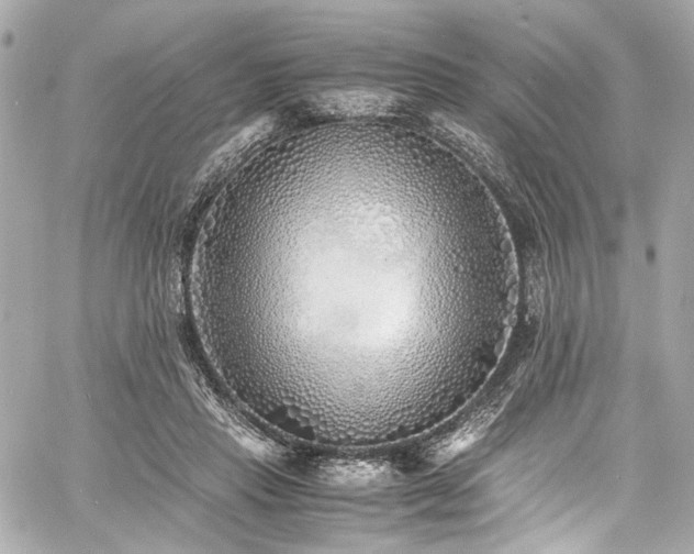 X0000060750453200511101120