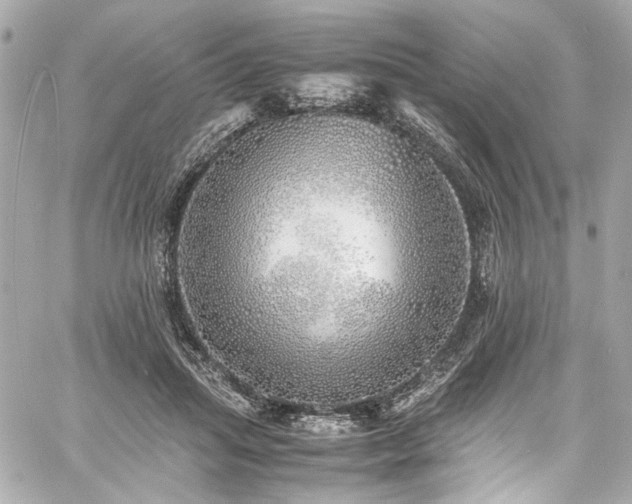 X0000060750455200511101120