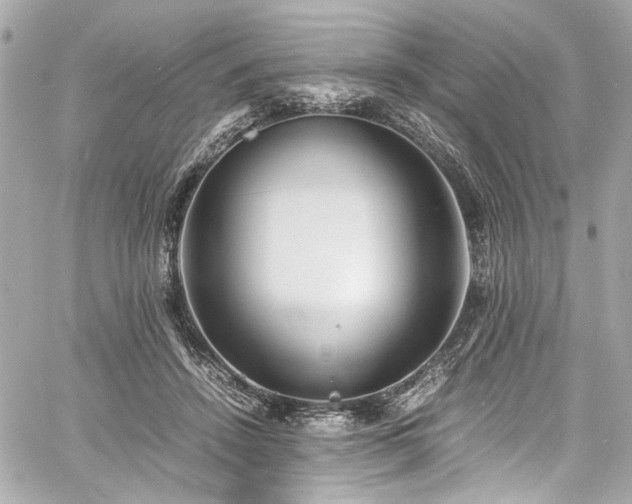 X0000060750456200511101120