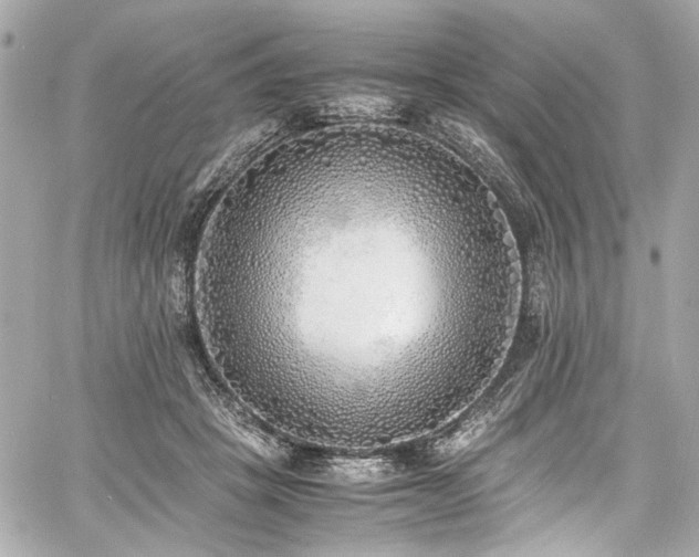 X0000060750457200511101120