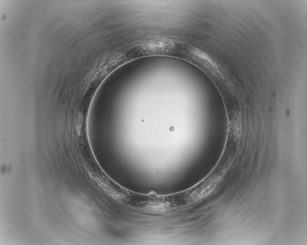 X0000060750458200511101120