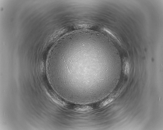 X0000060750459200511101120