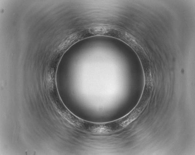 X0000060750460200511101120