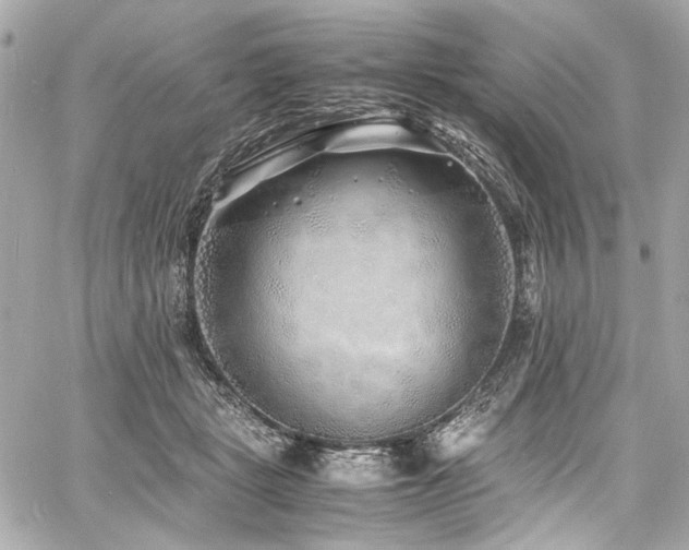 X0000060750461200511101120