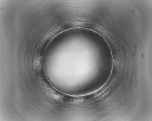 X0000060750462200511101120