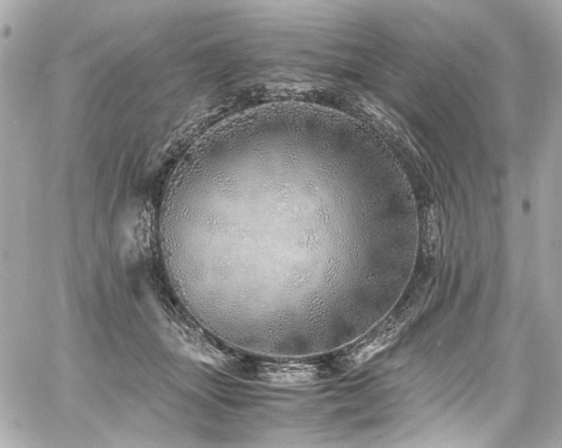 X0000060750463200511101120