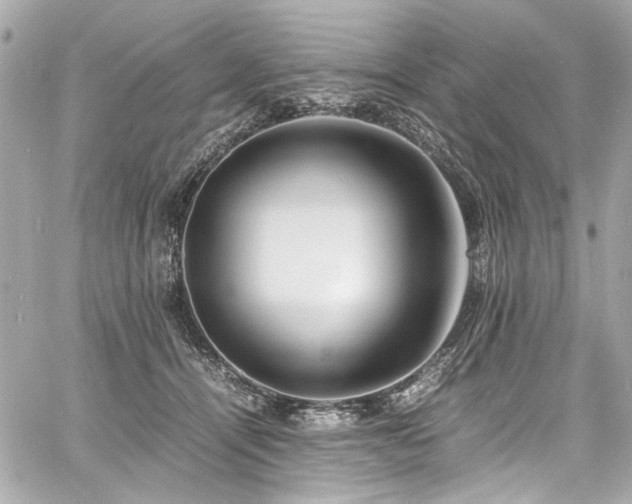 X0000060750464200511101120