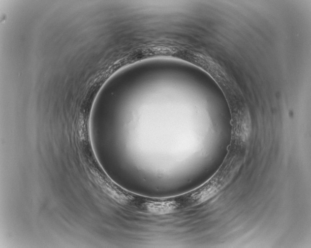 X0000060750465200511101120