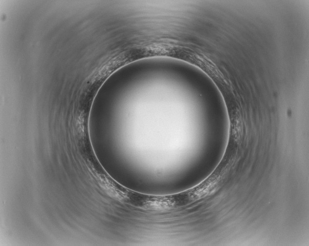 X0000060750466200511101120