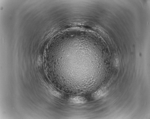 X0000060750467200511101120