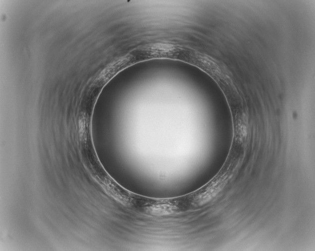 X0000060750468200511101120