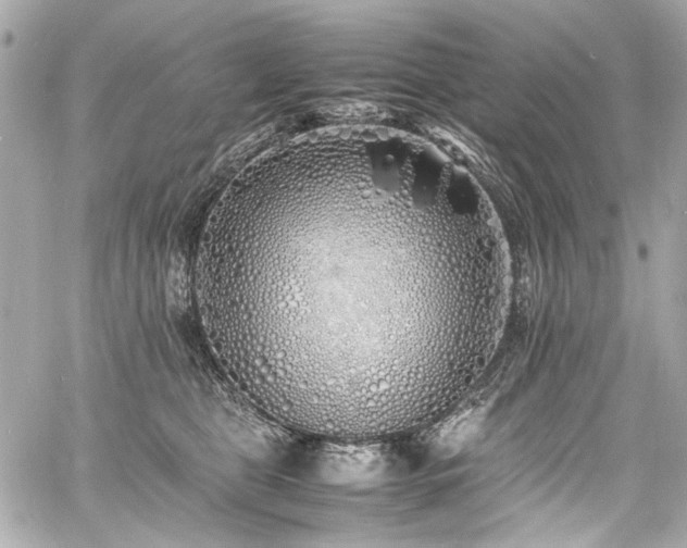 X0000060750469200511101120