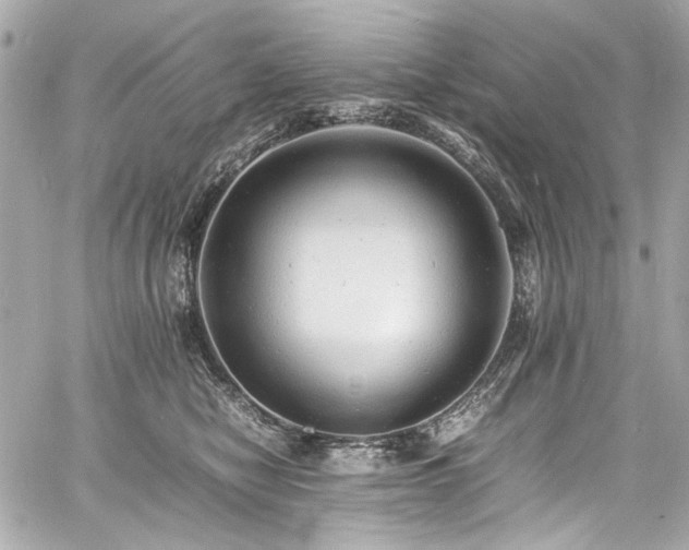 X0000060750470200511101120