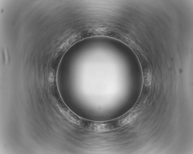 X0000060750472200511101120