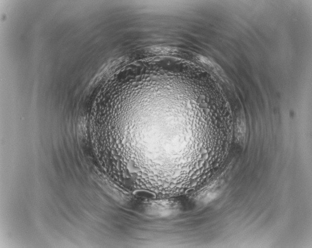 X0000060750473200511101120