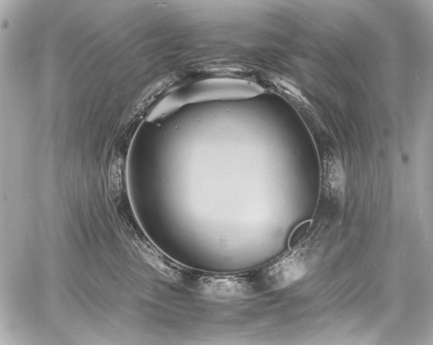 X0000060750475200511101120