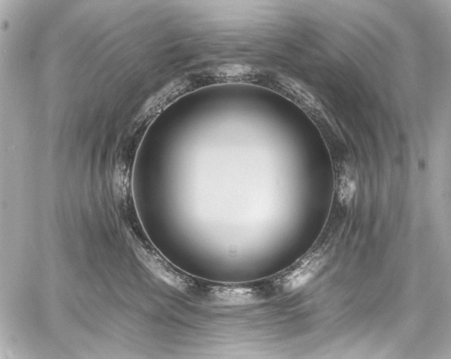 X0000060750476200511101120