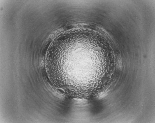 X0000060750477200511101120