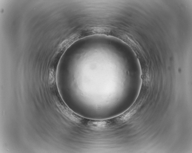 X0000060750478200511101120