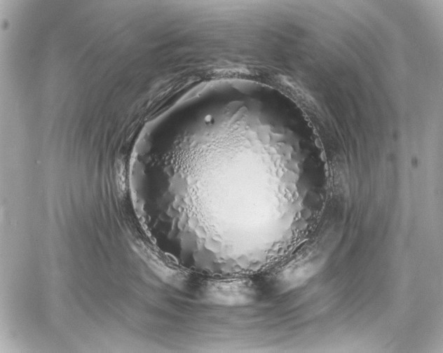 X0000060750479200511101120