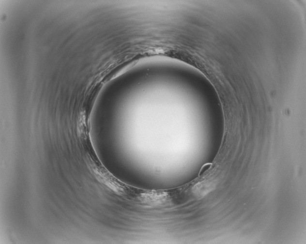 X0000060750480200511101120