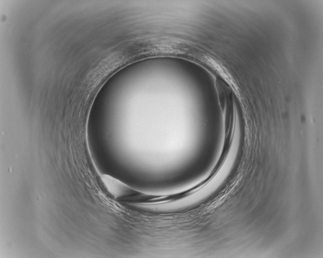 X0000060750481200511101119