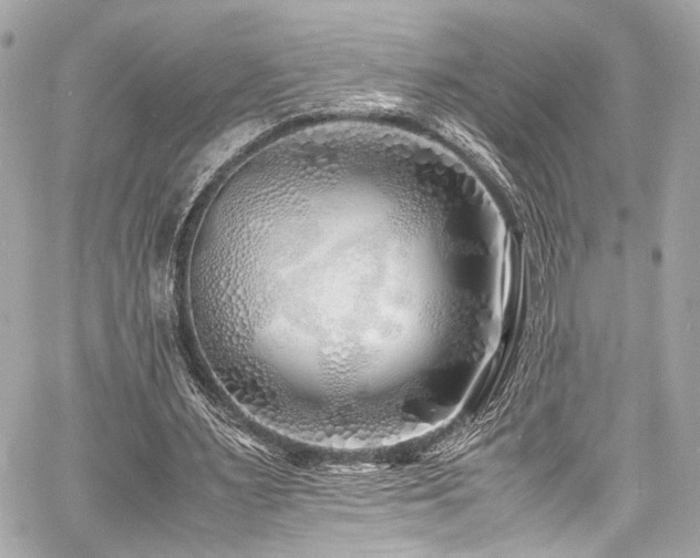 X0000060750483200511101119