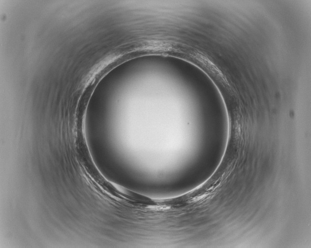 X0000060750484200511101119