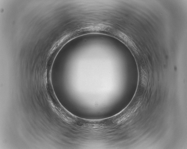 X0000060750486200511101119