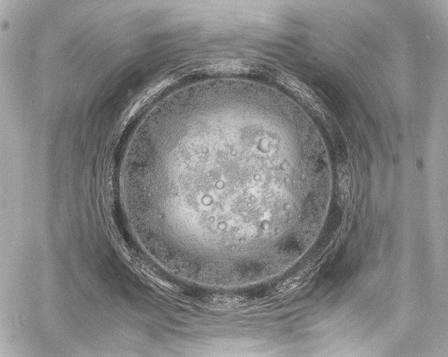 X0000060750487200511101119